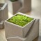 Cement Cube Planter Set Square Concrete Planters for Indoor Plants 6.75"